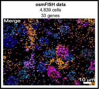 _images/osmFISH_SS_cortex_image_summary.png